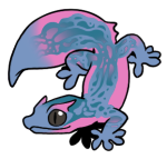 5206-Gecko-2-1-12-02056-01064-174.png