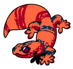 5209-Gecko-1-3-08-07125-06153-061.png