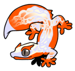 5212-Gecko-2-1-11-02007-01001-123.png