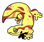 5214-Gecko-1-3-11-12107-11163-106.png