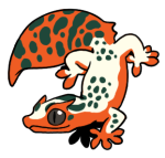 5234-Gecko-2-1-12-10077-09001-124.png