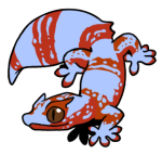 5238-Gecko-2-1-09-07055-06150-122.png