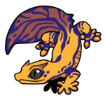 5244-Gecko-2-1-12-03045-02164-114.png