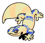 5261-Gecko-1-1-15-07108-06110-051.png