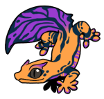 5289-Gecko-2-1-12-03061-02036-117.png