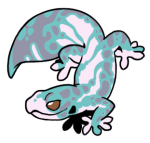 5416-Gecko-1-1-16-04068-03012-177.png