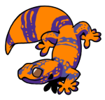 6166-Gecko-1-3-16-07116-06040-042.png