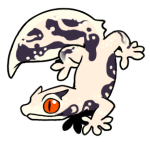 6171-Gecko-2-1-23-06001-05024-002.png