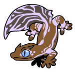 6197-Gecko-2-1-29-03031-02134-143.png