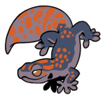 6220-Gecko-1-1-26-10120-09057-029.png