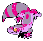6221-Gecko-1-3-24-08170-07030-175.png
