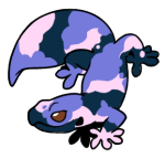 6243-Gecko-1-1-21-11043-10176-061.png