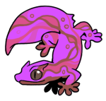 6267-Gecko-2-1-15-12164-11168-035.png