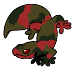 646-Gecko-1-1-61-11099-10081-162.png