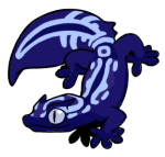 6466-Gecko-2-1-33-09055-08045-046.png