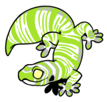 6470-Gecko-1-3-36-05091-04009-004.png
