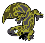 662-Gecko-1-4-49-04096-03099-015.png