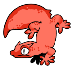 6690-Gecko-2-1-31-06151-05126-126.png