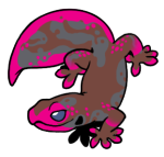 6847-Gecko-1-1-35-06170-05016-137.png