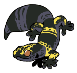 6871-Gecko-1-3-26-07022-06013-105.png