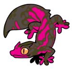 6893-Gecko-2-1-24-04099-03134-170.png