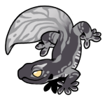 6896-Gecko-1-1-42-03010-02005-015.png