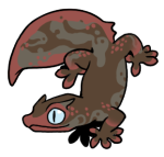 6918-Gecko-2-1-34-06164-05133-141.png
