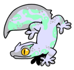 7202-Gecko-2-1-40-06009-05073-007.png