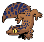 7222-Gecko-2-1-37-10047-09129-145.png