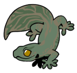 7234-Gecko-1-3-39-03132-02083-085.png