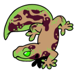 7825-Gecko-1-1-56-06090-05172-130.png