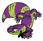 8048-Gecko-1-1-59-07027-06091-024.png