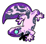 8051-Gecko-1-3-48-06037-05057-176.png