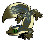 8529-Gecko-2-1-53-02099-01059-108.png