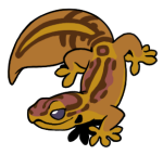 8613-Gecko-1-1-73-09146-08164-102.png