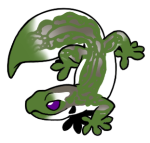 8614-Gecko-1-1-66-02086-01133-004.png