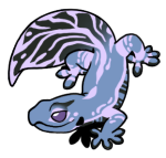8712-Gecko-1-1-74-03031-02022-056.png