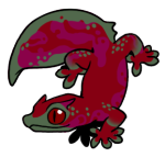 8713-Gecko-2-1-61-06083-05171-154.png
