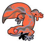 8714-Gecko-1-3-63-12012-11135-125.png