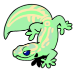 8855-Gecko-1-1-76-09109-08072-089.png