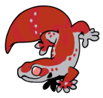8866-Gecko-1-3-65-08160-07150-009.png