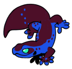 8870-Gecko-1-1-50-08172-07172-049.png