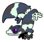 8988-Gecko-2-1-66-11057-10015-071.png