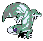 9002-Gecko-1-3-69-04074-03011-006.png