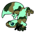 9010-Gecko-1-3-46-11073-10080-100.png