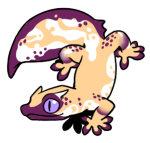 9113-Gecko-2-1-68-06026-05004-110.png