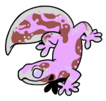 9117-Gecko-1-3-71-06005-05164-175.png