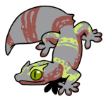 9140-Gecko-2-1-55-07010-06164-093.png