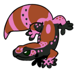 9145-Gecko-1-1-54-08174-07148-022.png