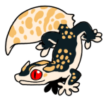 9166-Gecko-2-1-60-10111-09060-002.png